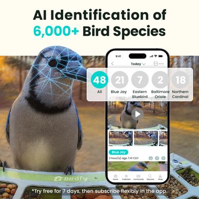 Show full view: Birdfy Metal Bird Feeder Squirrel Proof with Camera, Green slide 2 of 9