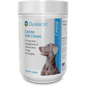 PRN Pharmacal Duralactin Dog Supplement, 60 count