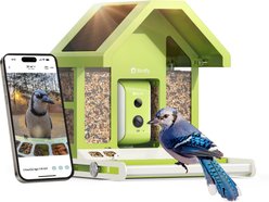 Birdfy Metal Bird Feeder Squirrel Proof with Camera, Green