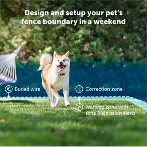PetSafe Stubborn Dog In-Ground Fence System