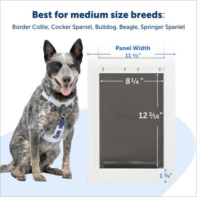 Show full view: PetSafe Sliding 80 11/16-in Glass Pet Door, White, Medium slide 6 of 12