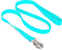 Nandog Durable Double Latch Sport Poly-Flex Waterproof Vinyl PVC Dog Leash, Aqua Blue, Medium/Large: 4-ft long, 1-in wide