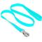 Show in main carousel: Nandog Durable Double Latch Sport Poly-Flex Waterproof Vinyl PVC Dog Leash, Aqua Blue, Small: 4-ft long, 3/4-in wide slide 1 of 4