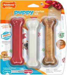 Nylabone Holiday Puppy Starter Kit Triple Pack Dog Bone Toys