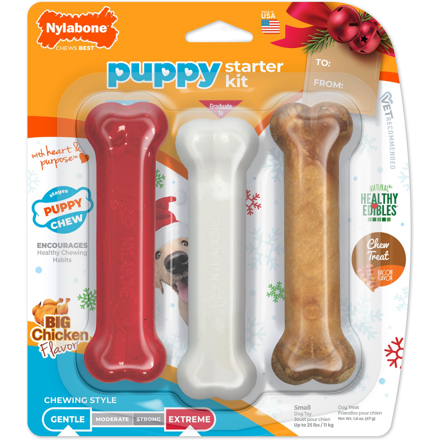 Nylabone Holiday Puppy Starter Kit Triple Pack Dog Bone Toys