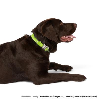Show full view: Nandog Durable Adjustable Sport Poly-Flex Waterproof Vinyl PVC Dog Collar, Neon Green, Large: 17 to 22-in neck, 1-in wide slide 3 of 7