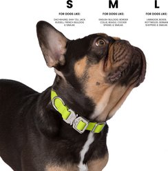 Nandog Durable Adjustable Sport Poly-Flex Waterproof Vinyl PVC Dog Collar, Neon Green, Small: 9 to 13-in neck, 3/4-in wide slide 2 of 7
