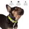 Show in main carousel: Nandog Durable Adjustable Sport Poly-Flex Waterproof Vinyl PVC Dog Collar, Neon Green, Large: 17 to 22-in neck, 1-in wide slide 7 of 7