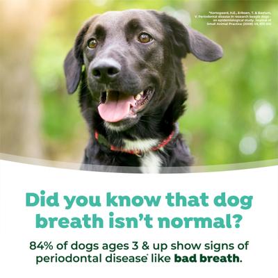 Show full view: TropiClean Fresh Breath Oral Care Dog & Cat Water Additive, 4-fl oz bottle slide 7 of 10