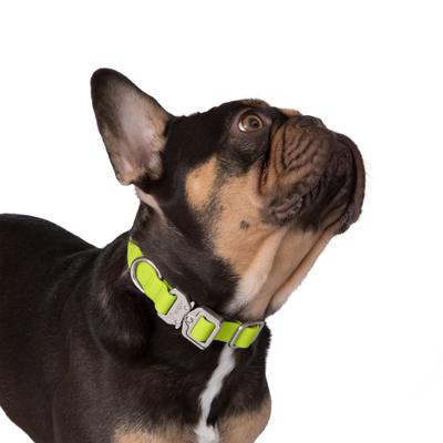 Show full view: Nandog Durable Adjustable Sport Poly-Flex Waterproof Vinyl PVC Dog Collar, Neon Green, Large: 17 to 22-in neck, 1-in wide slide 2 of 7