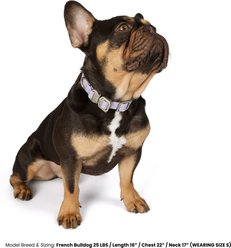 Nandog Durable Adjustable Sport Poly-Flex Waterproof Vinyl PVC Dog Collar, Lilac Purple, Large: 17 to 22-in neck, 1-in wide slide 2 of 7