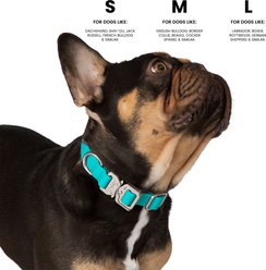 Nandog Durable Adjustable Sport Poly-Flex Waterproof Vinyl PVC Dog Collar, Aqua Blue, Large: 17 to 22-in neck, 1-in wide slide 2 of 7