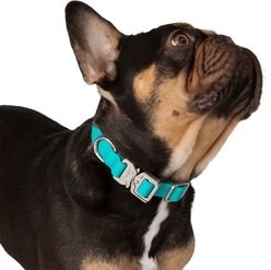 Nandog Durable Adjustable Sport Poly-Flex Waterproof Vinyl PVC Dog Collar, Aqua Blue, Small: 9 to 13-in neck, 3/4-in wide slide 2 of 7