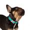 Show in main carousel: Nandog Durable Adjustable Sport Poly-Flex Waterproof Vinyl PVC Dog Collar, Aqua Blue, Small: 9 to 13-in neck, 3/4-in wide slide 2 of 7