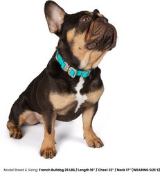 Nandog Durable Adjustable Sport Poly-Flex Waterproof Vinyl PVC Dog Collar, Aqua Blue, Medium: 13 to 18-in neck, 1-in wide slide 2 of 7