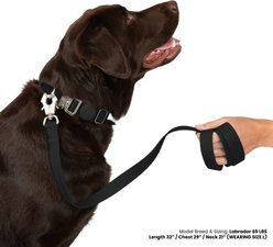 Nandog Durable Double Latch Sport Poly-Flex Waterproof Vinyl PVC Dog Leash, Black, Small: 4-ft long, 3/4-in wide slide 2 of 4