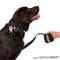 Show in main carousel: Nandog Durable Double Latch Sport Poly-Flex Waterproof Vinyl PVC Dog Leash, Black, Small: 4-ft long, 3/4-in wide slide 2 of 4