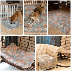 Nunubaby Washable Non-Skid Bottom Dog Pee Pads, Beige/Multi, 72 x 72-in, 1 count slide 2 of 7