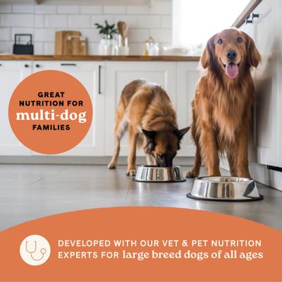 Show full view: CANIDAE All Life Stages Large Breed Multi-Protein Recipe Dry Dog Food, 40-lb bag slide 9 of 10