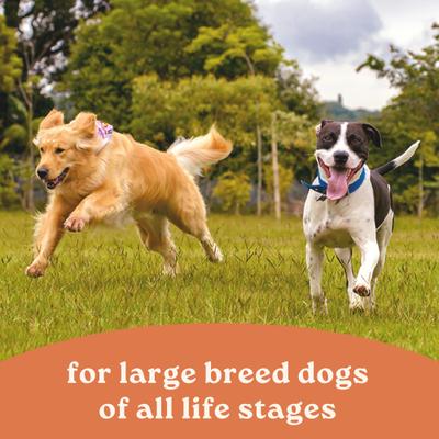 Show full view: CANIDAE All Life Stages Large Breed Multi-Protein Recipe Dry Dog Food, 40-lb bag slide 7 of 10