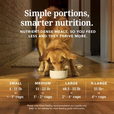 Show full view: K9 Natural New Zealand Lamb & Venison Feast Grain-Free Freeze-Dried Dog Food, 17.6-oz bag slide 6 of 7