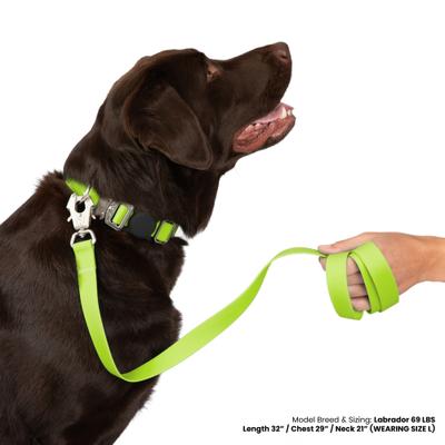Show full view: Nandog Durable Double Latch Sport Poly-Flex Waterproof Vinyl PVC Dog Leash, Neon Green, Medium/Large: 4-ft long, 1-in wide slide 2 of 4