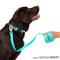 Show in main carousel: Nandog Durable Double Latch Sport Poly-Flex Waterproof Vinyl PVC Dog Leash, Aqua Blue, Small: 4-ft long, 3/4-in wide slide 2 of 4