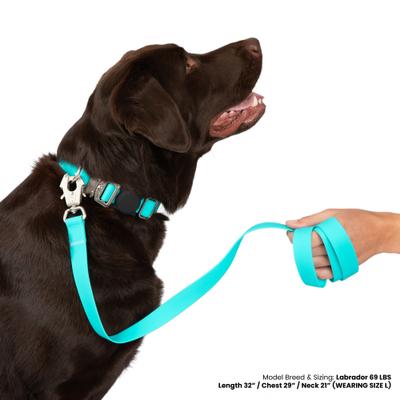 Show full view: Nandog Durable Double Latch Sport Poly-Flex Waterproof Vinyl PVC Dog Leash, Aqua Blue, Small: 4-ft long, 3/4-in wide slide 2 of 4