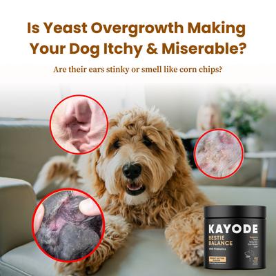 Show full view: Kayode Bestie Balance Natural Yeast Support & Itchy Skin Comfort Chew Supplement for Dogs, 90 count slide 3 of 9