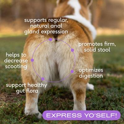 Show full view: Native Pet WonderGland Anal Gland Pumpkin Fiber & Digestive Supplement for Dogs, 32-oz slide 4 of 11