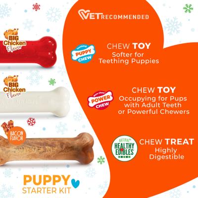 Show full view: Nylabone Holiday Puppy Starter Kit Triple Pack Dog Bone Toys slide 4 of 12