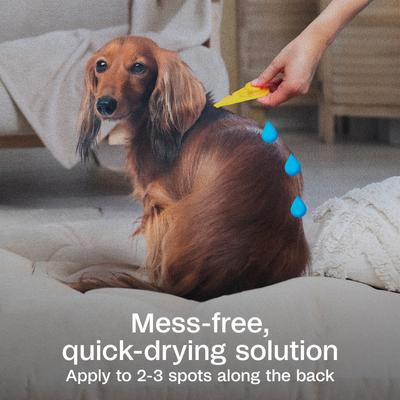 Show full view: Adams Flea & Tick Spot Treatment for Medium Breed Dogs, 15-30 lbs, 3 Doses (3-mos. supply) slide 4 of 11