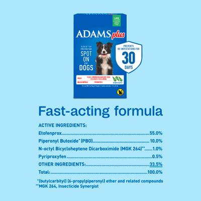 Show full view: Adams Flea & Tick Spot Treatment for Large Breed Dogs, 31 to 60 lbs, 3 Doses (3-mos. supply) slide 9 of 11