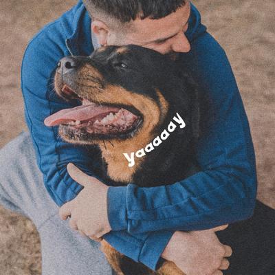 Show full view: Adams Flea & Tick Spot Treatment for X-Large Breed Dogs, 61-150 lbs, 3 Doses (3-mos. supply) slide 6 of 12