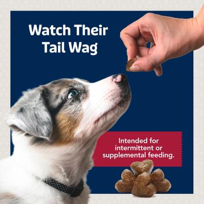 Show full view: Blue Buffalo Jumbo Bits Beef Recipe Soft & Chewy Dog Treats, 11-oz bag slide 9 of 10