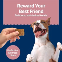 Blue Buffalo Soft & Chewy Health Bars Chicken & Coconut Dog Treats, 9-oz bag slide 2 of 9