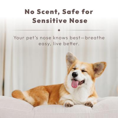 Show full view: Nova-air Pet Dog Odor Eliminator, 10-oz bottle slide 5 of 10