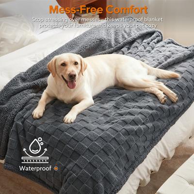 Show full view: Invenho Checkerboard Print Dog & Cat Blanket, Grey, Medium slide 5 of 9