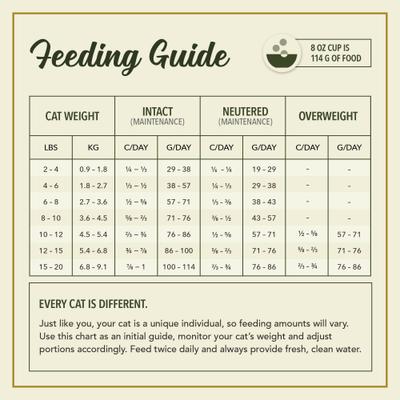 Show full view: ACANA Market Medley Duck, Chicken & Turkey Recipe with Freeze-Dried Morsels Made with Duck & Cranberry Grain-Free Dry Cat Food, 9-lb bag slide 10 of 10