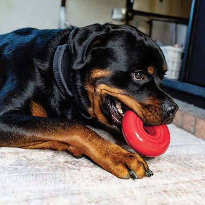 Show full view: KONG Donut Dog Chew Toy, Red, Large/X-Large slide 2 of 7