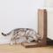 Show in main carousel: Petpals Poly Angled Cat Scratcher with Replaceable Corrugated Inserts, Rattan Toy & Adjustable Stabilizers, Brown, Large slide 3 of 8
