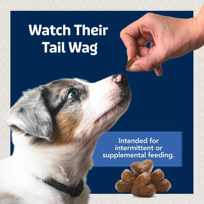 Show full view: Blue Buffalo Jumbo Bits Chicken Recipe Soft & Chewy Dog Treats, 4-oz bag slide 9 of 10