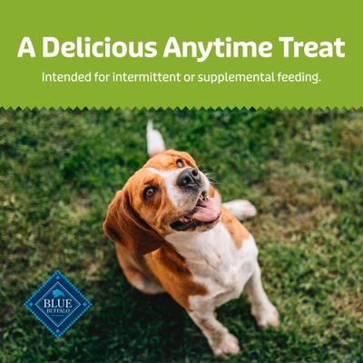 Show full view: Blue Buffalo Soft & Chewy Health Bars Chicken & Apples Dog Treats, 9-oz bag slide 9 of 10