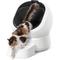 Show in main carousel: Petlibro Luma Automatic Litter Box with Camera, 33-lb slide 2 of 9