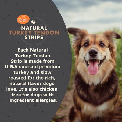 Show full view: Canine Naturals Slow Roasted Turkey Tendon Strips Dog Natural Chew Treats, 3-oz bag slide 4 of 8