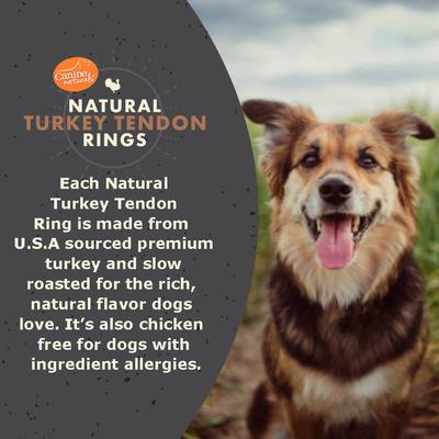 Show full view: Canine Naturals Slow Roasted Turkey Tendon Rings Dog Natural Chew Treats, 1.69-oz bag, 4 count slide 4 of 8