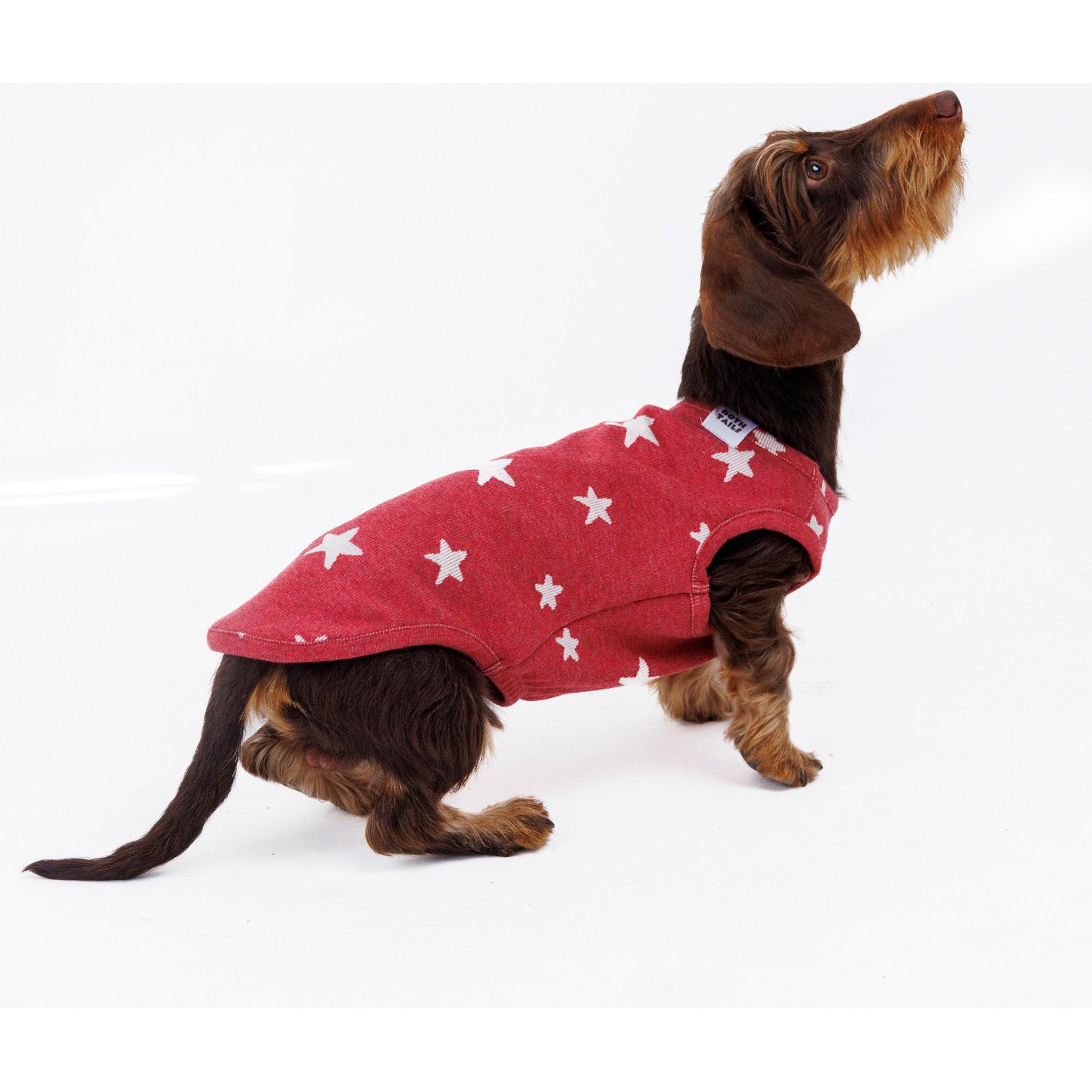 Both Tails Starry Night Sleeveless Dog Sweater, Red, XX-Large