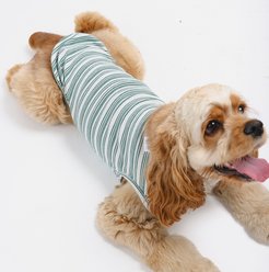 Both Tails Candy Cane Sleeveless Dog Sweater, Green, Small