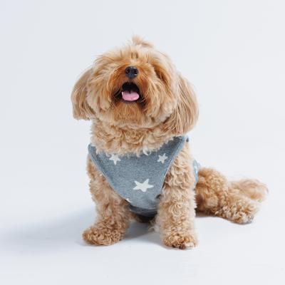 Show full view: Both Tails Starry Night Sleeveless Dog Sweater, Grey, X-Small slide 3 of 6