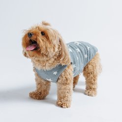 Both Tails Starry Night Sleeveless Dog Sweater, Grey, X-Small